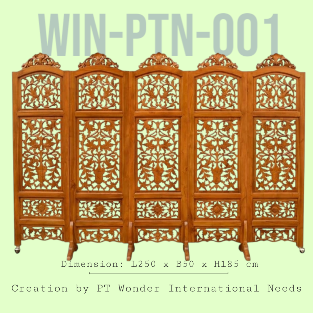 Win-PTN-001-image