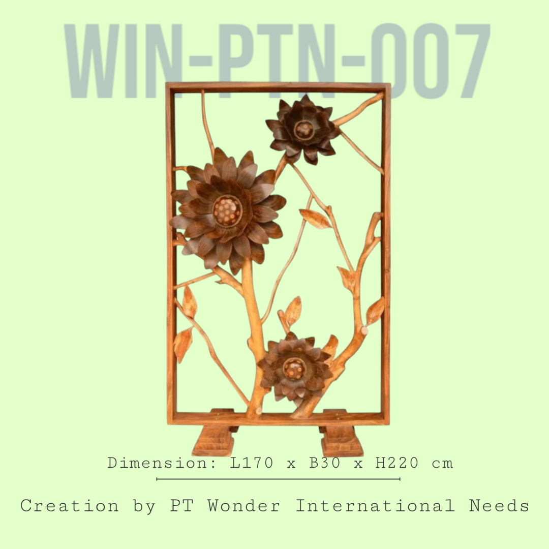Win-PTN-007-image